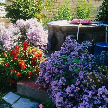 House On Ashiq Cuma Street 8 Bed & Breakfast Sheki Exterior photo