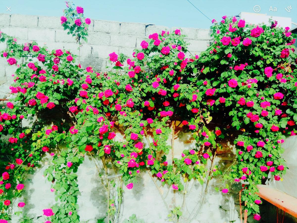 House On Ashiq Cuma Street 8 Bed & Breakfast Sheki Exterior photo